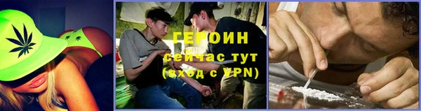 шишки Беломорск