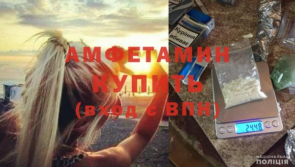 шишки Беломорск