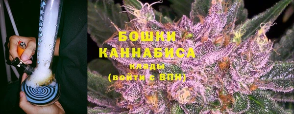 ешки Богданович