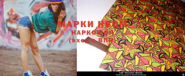 шишки Беломорск