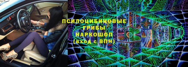 шишки Беломорск