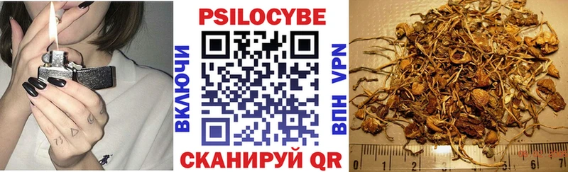 наркота  Богучар  Псилоцибиновые грибы мухоморы 